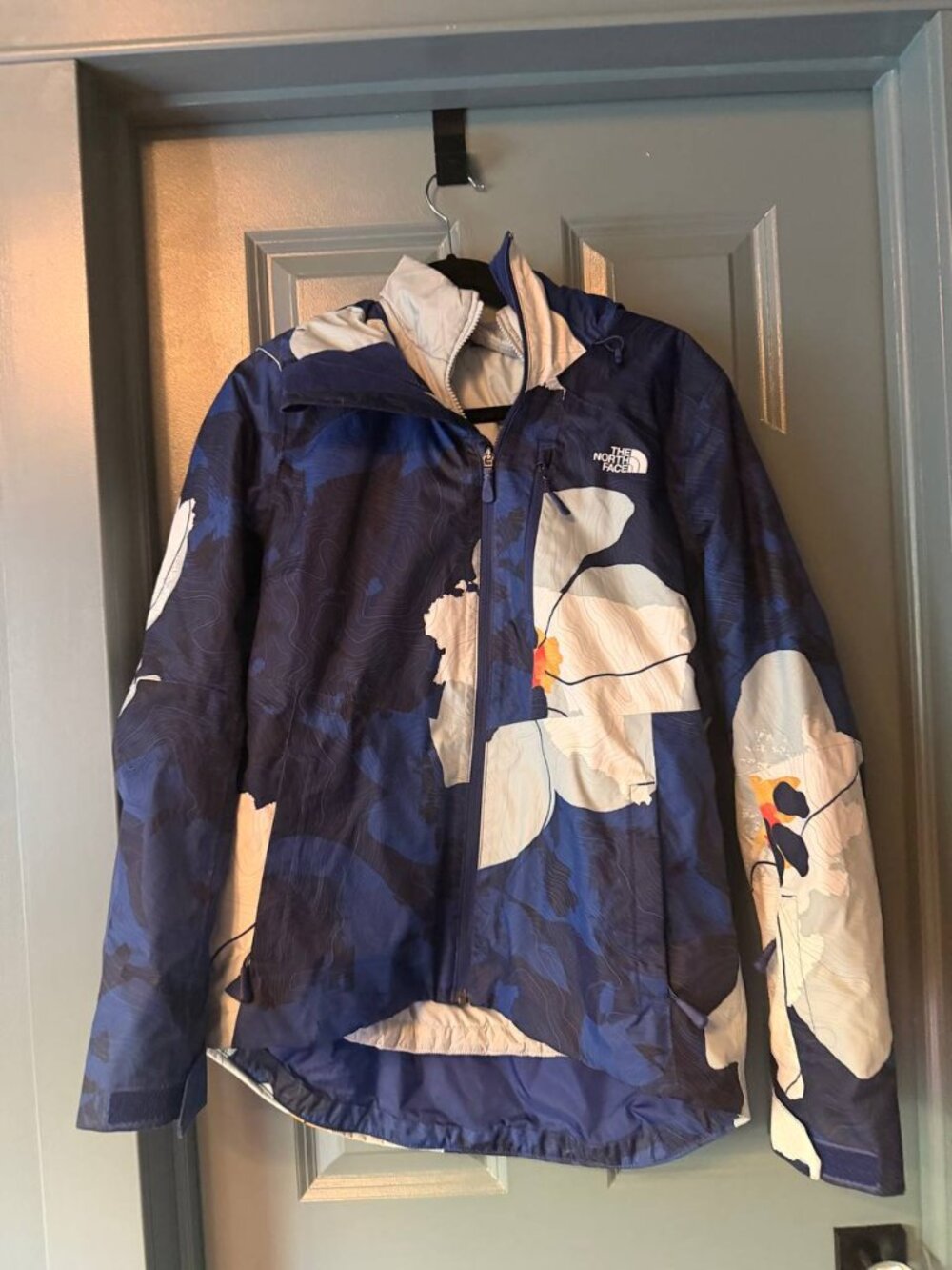 The North Face Descendit Ski Jacket
